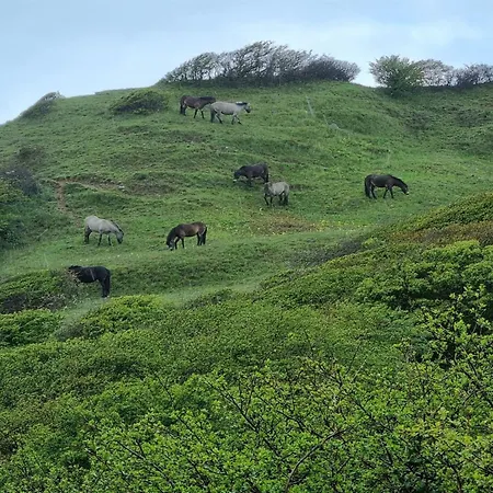 Miona - 725m From The Sea By Interhome Tatil Evi Kalundborg